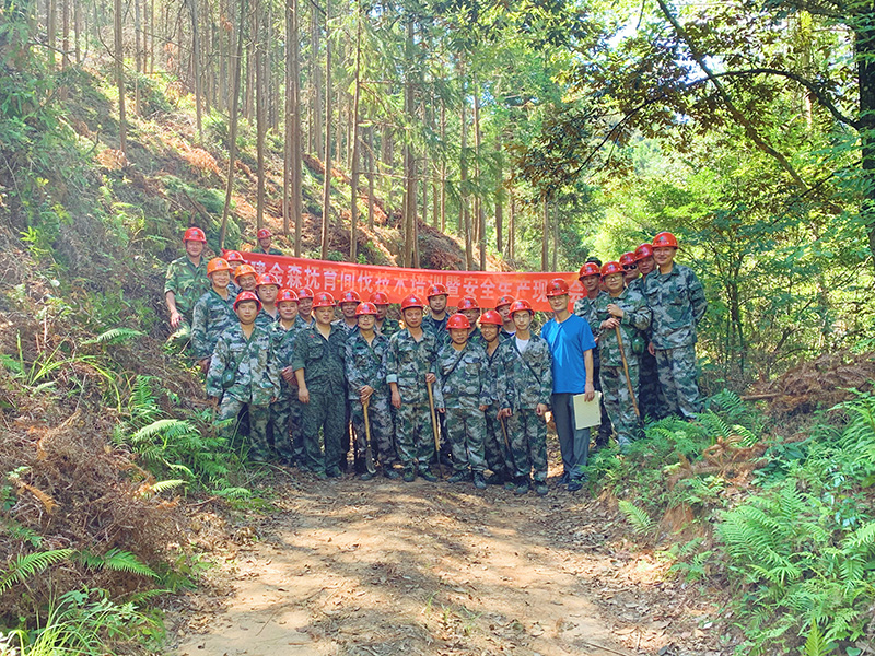 嚴(yán)把森林培育質(zhì)量關(guān)，譜寫資源培育新篇章