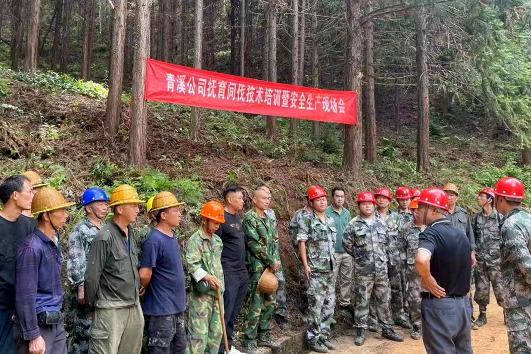 加強(qiáng)森林撫育示范管理，促進(jìn)森林質(zhì)量精準(zhǔn)提升