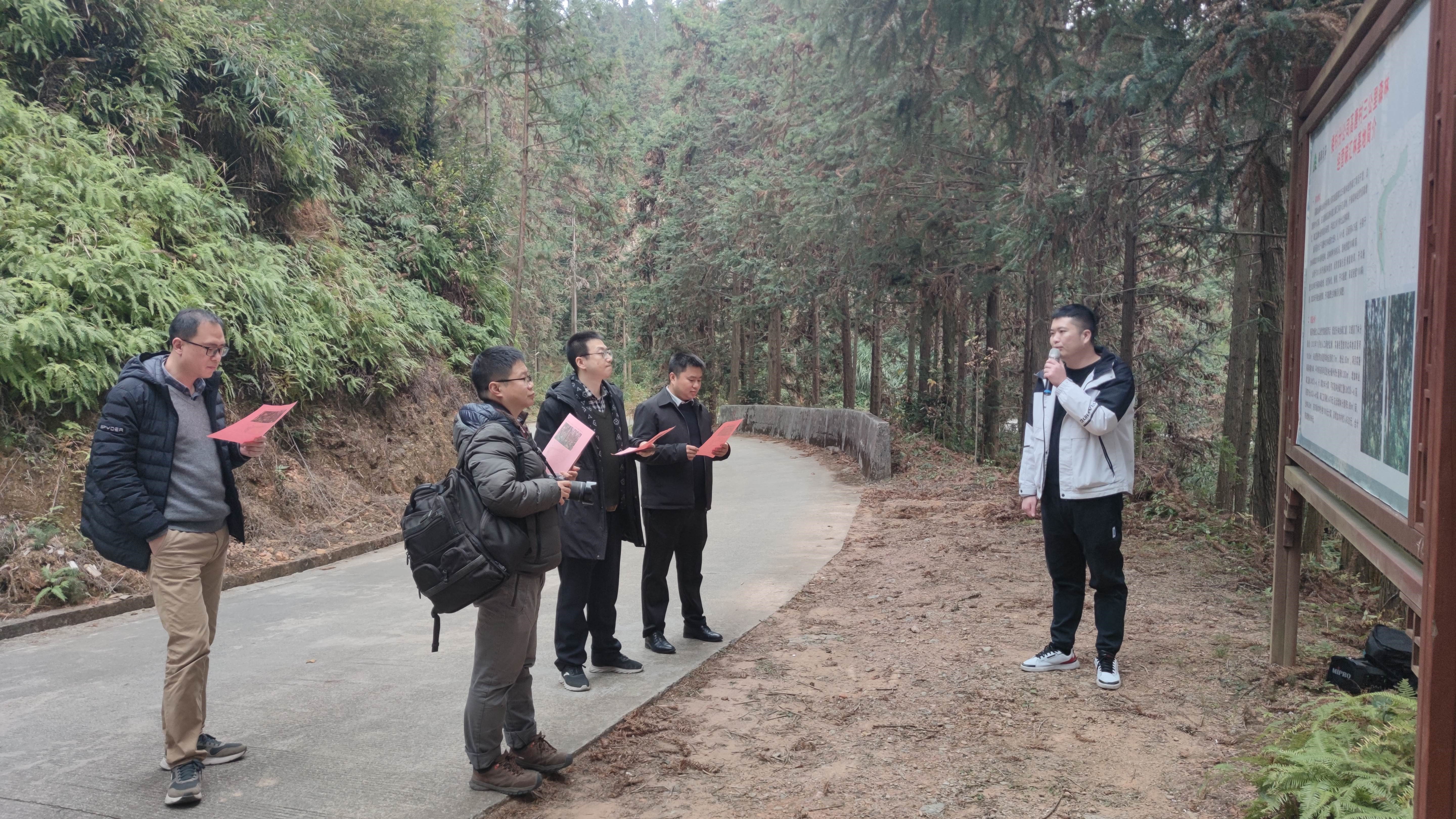 福建金森與上海園林集團(tuán)——強(qiáng)強(qiáng)交流促合作，共繪林改新藍(lán)圖