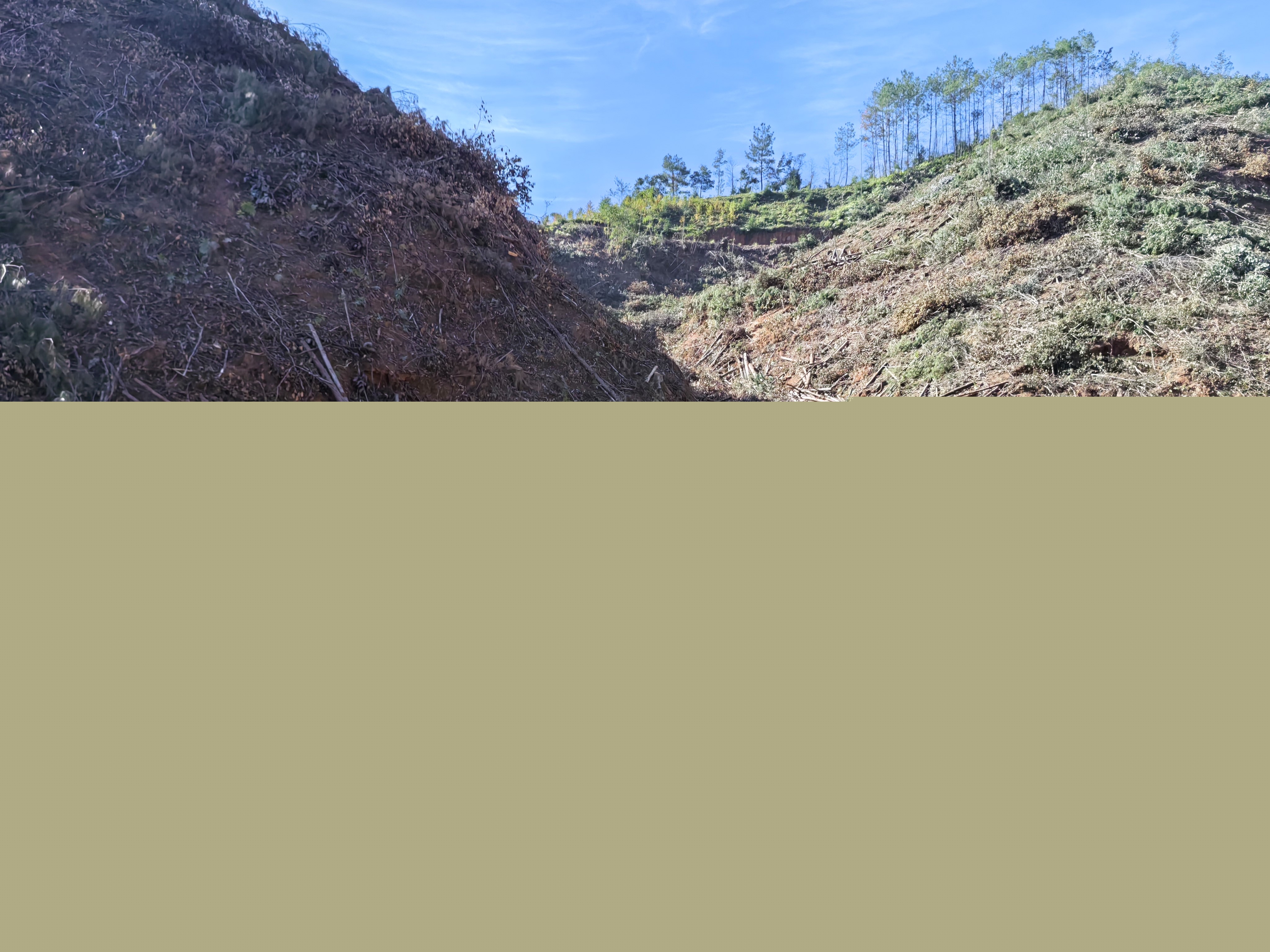 平安常青，我們在行動——常青分公司開展安全生產(chǎn)日活動