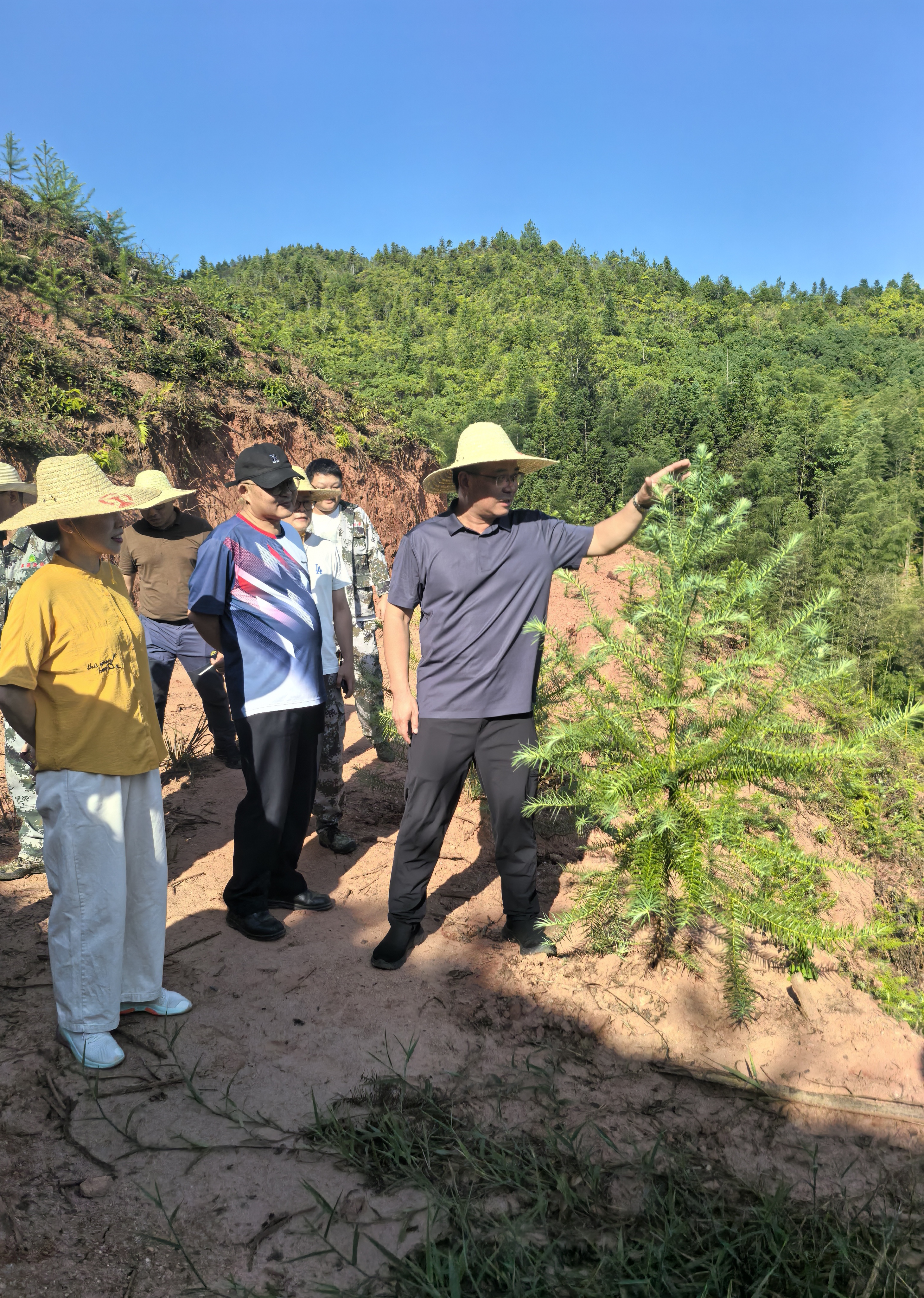 福建省林科院副院長鄭仁華一行蒞臨福建金森 指導森林資源培育工作 福建省林科院副院長鄭仁華一行蒞臨福建金森 指導森林資源培育工作